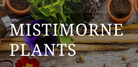 Mistimorne Plants logo
